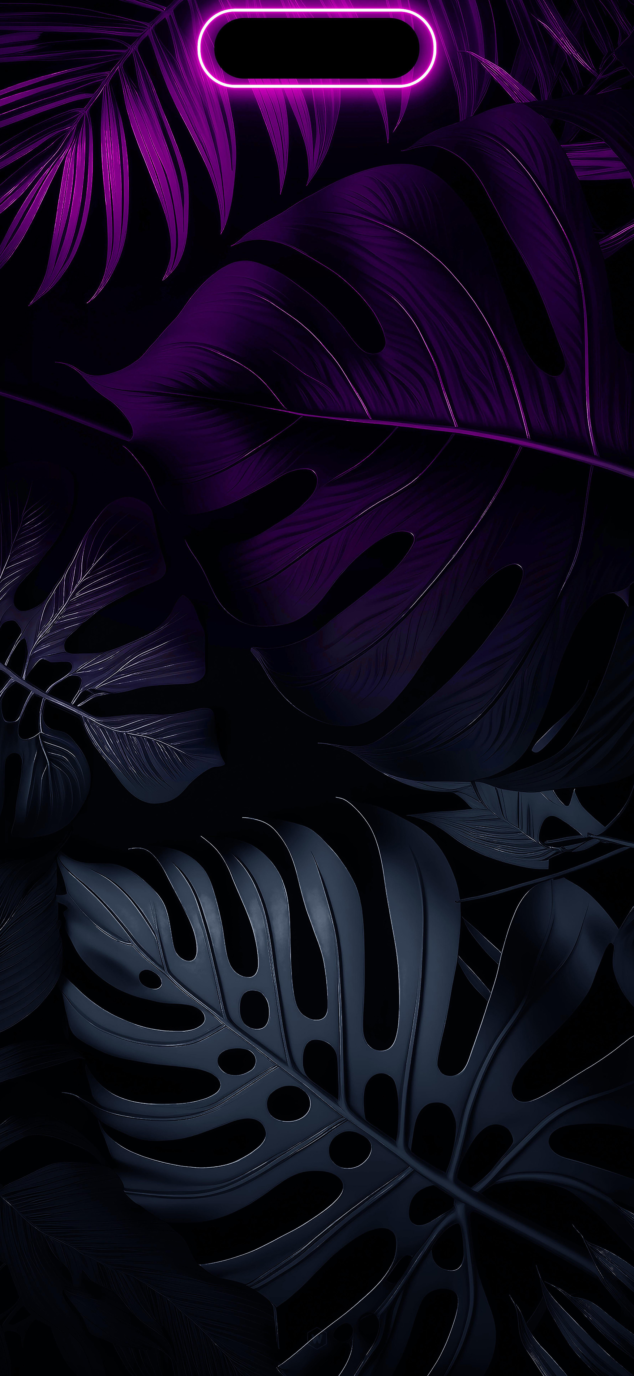 dynamic island 003