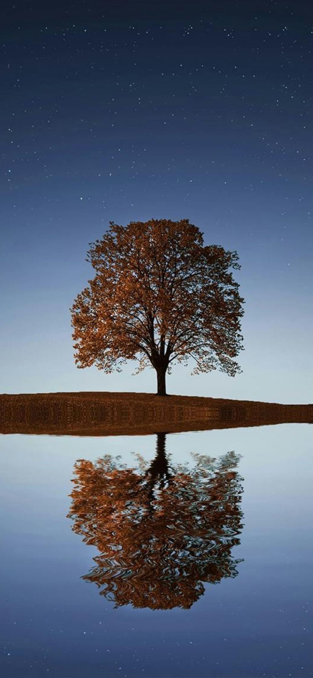 nature 2025 02 0002
