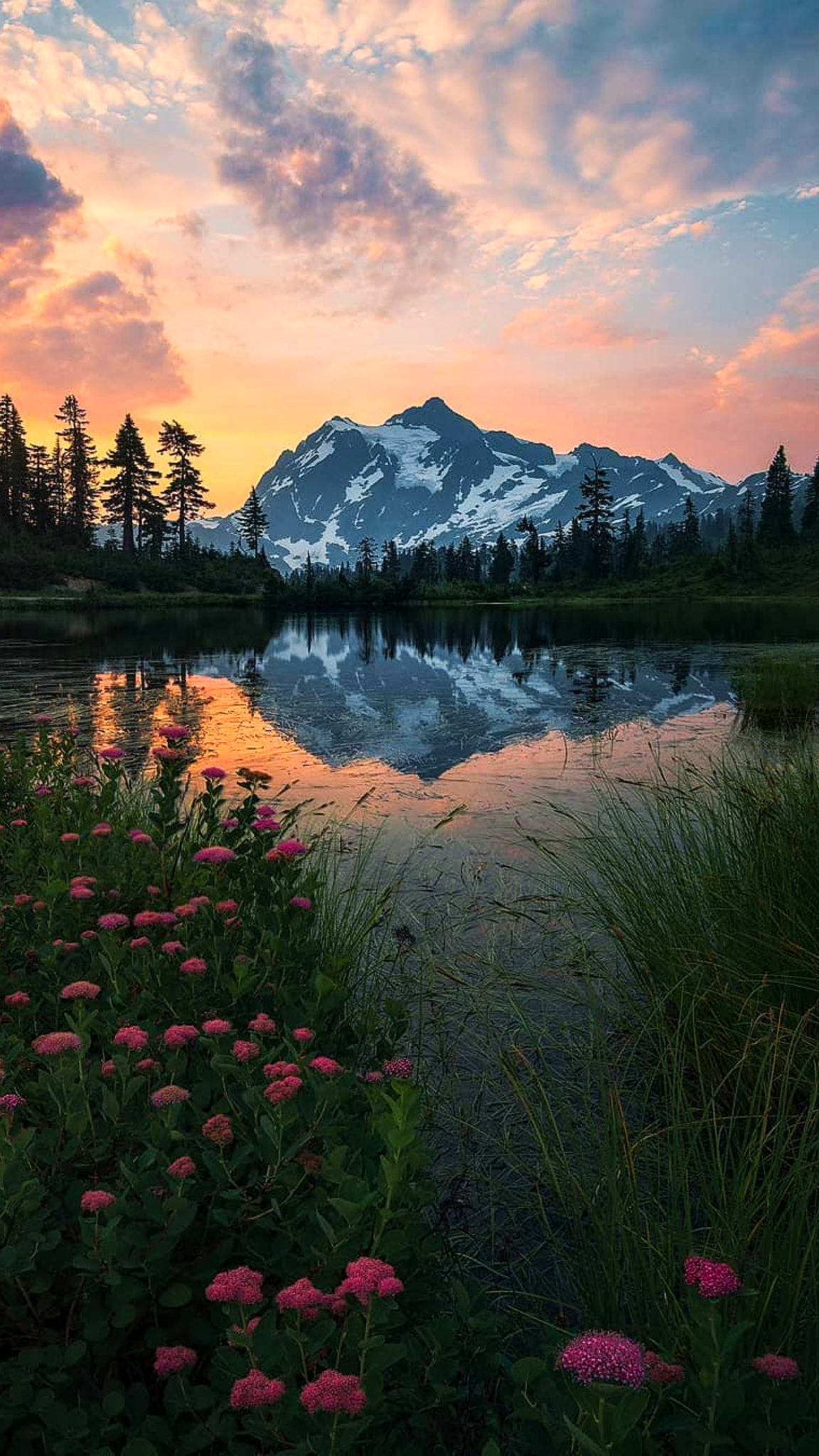 nature wallpaper 55