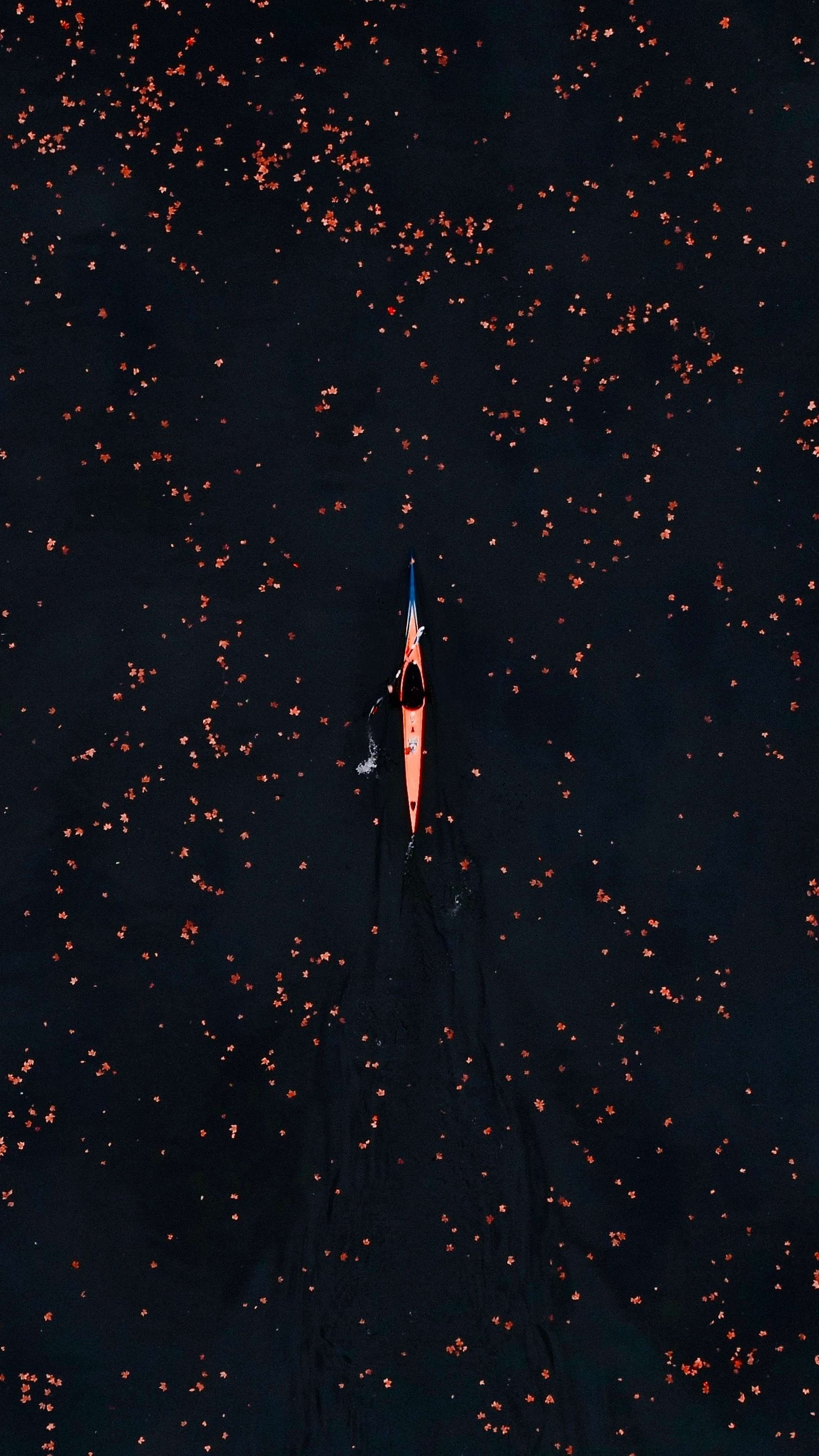 whatsapp wallpapers